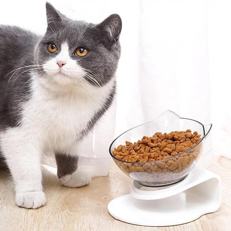 NON-SLIP PET FEEDING BOWL  WITH STAND